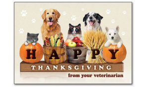 Read more about the article Thanksgiving Dinner With Pets: Things to keep in mind