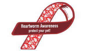 Read more about the article Heartworm and Prevention