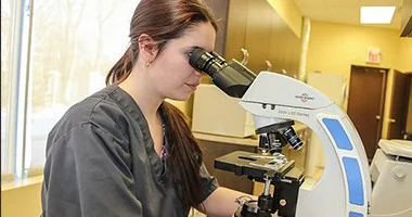 Pet Pathology and Diagnosis in Brampton