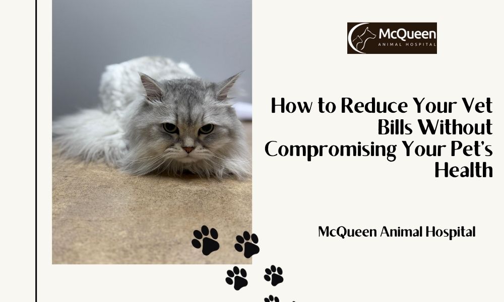 Pet Health