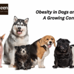 Obesity in Dogs and Cats: A Growing Concern