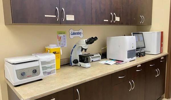 In-House Laboratory