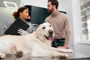 Read more about the article First Vet Visit: A Complete Guide for New Pet Owners