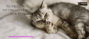 Read more about the article Nutritional Myths and Facts For Pets