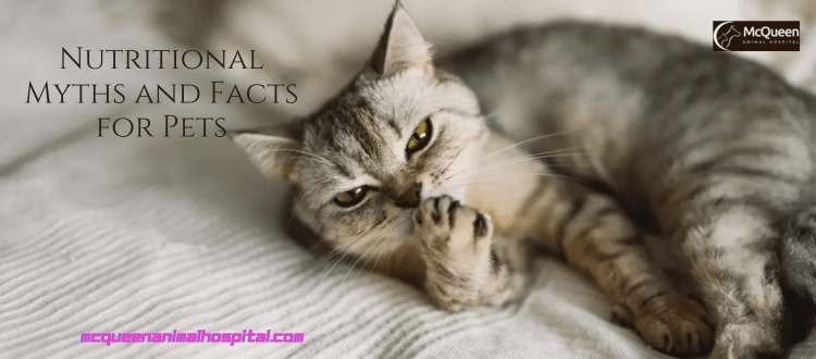 Nutritional Myths and Facts for Pets