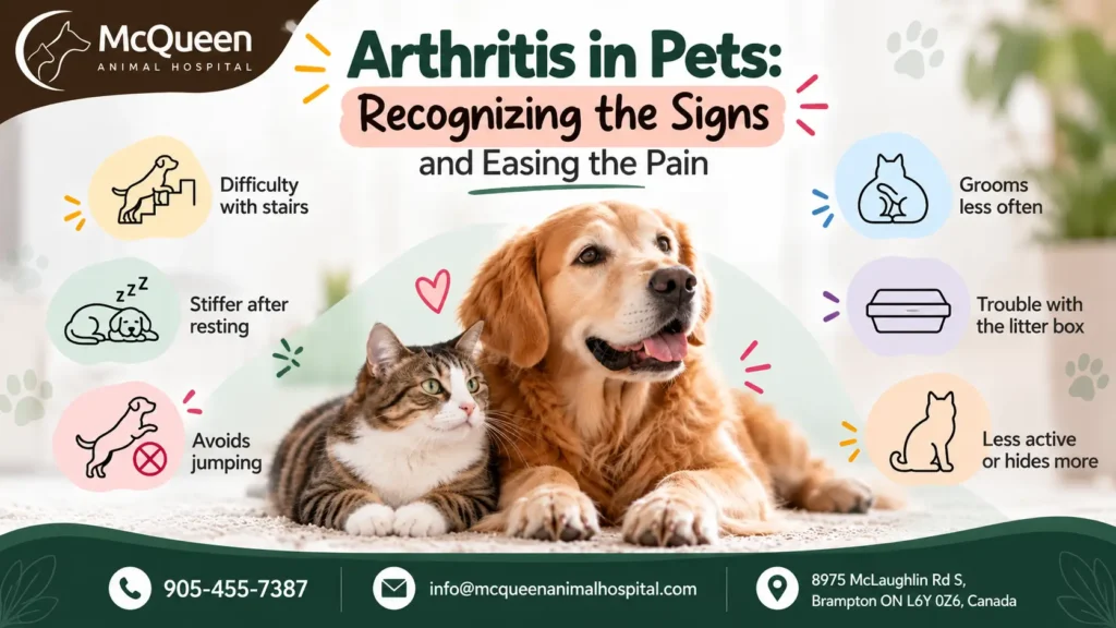 Arthritis Signs in Pets