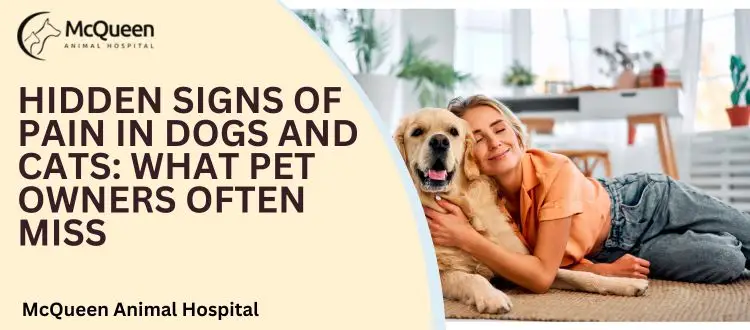Pain in Dogs and Cats