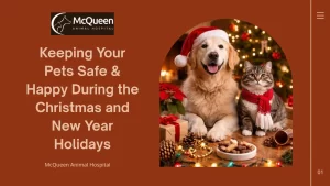 Read more about the article Keeping Your Pets Safe & Happy During Christmas & New Year