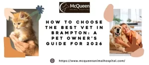Best Vet in Brampton