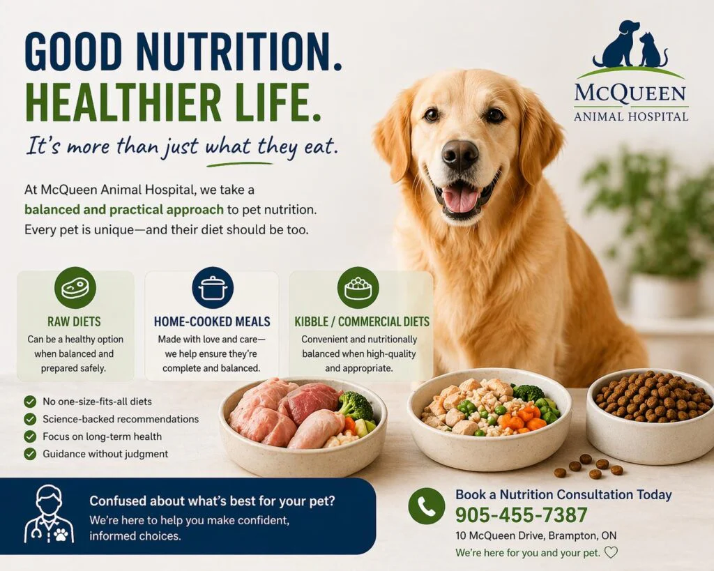 What Should You Really Feed Your Pet?