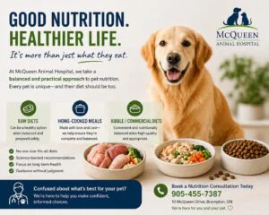 What Should You Really Feed Your Pet?