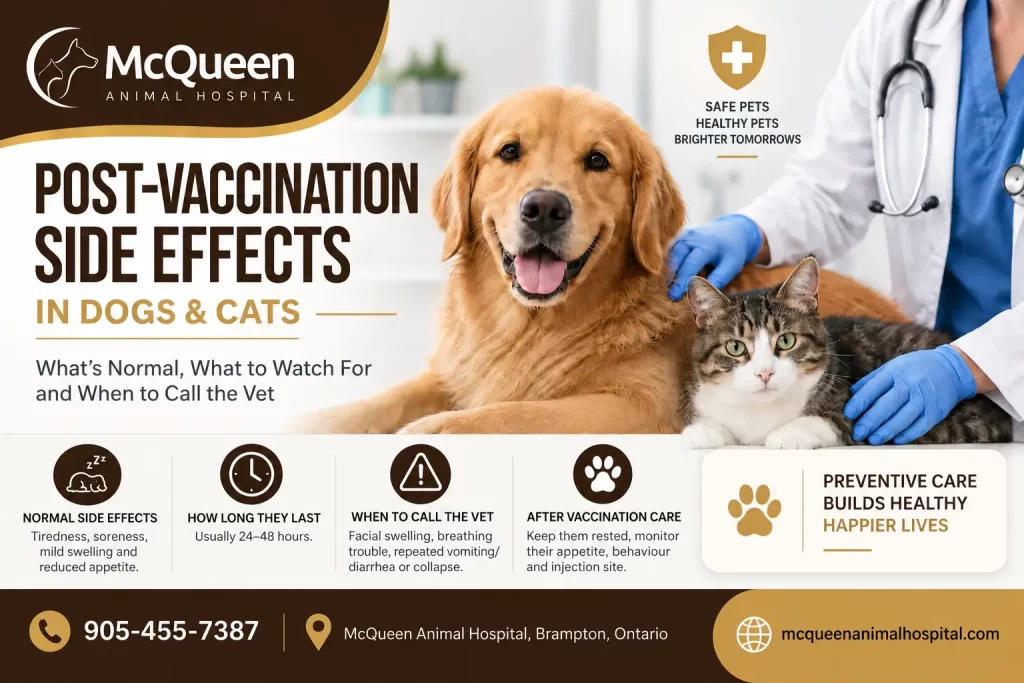 Post-Vaccination Side Effects