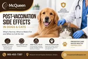 Post-Vaccination Side Effects