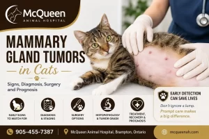 Mammary Gland Tumors in Cats