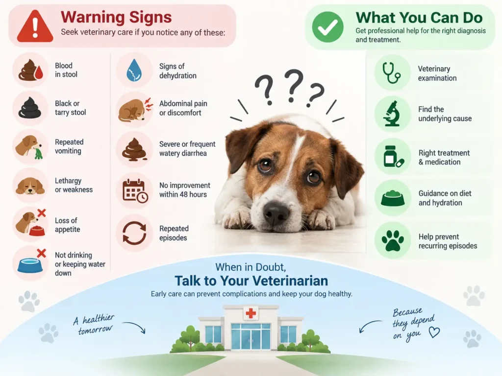 dog diarrhea treatment