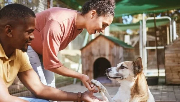 Vets in George Town