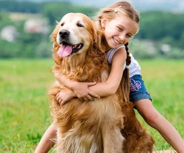dental care for pets Caledon