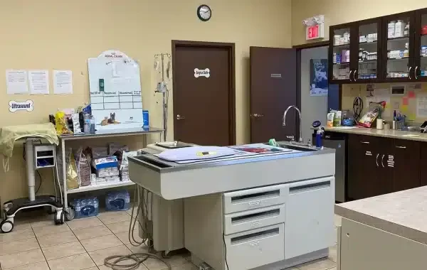 microchip implant animals Halton hills