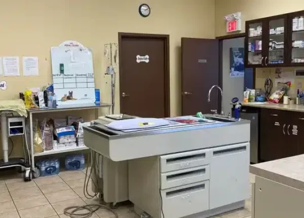 microchip implant animals Halton hills