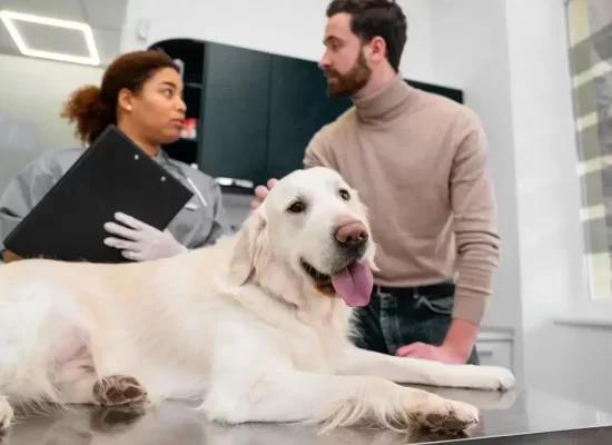 pet pathology service