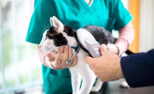vaccination clinic for pets halton hills