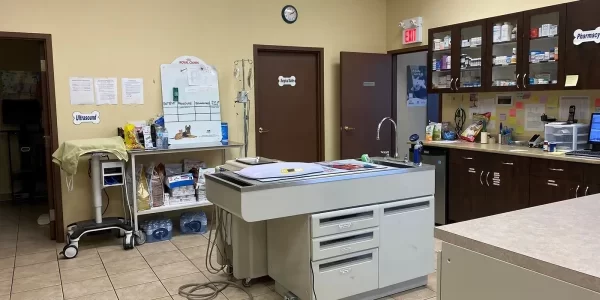 veterinary clinic Mississauga