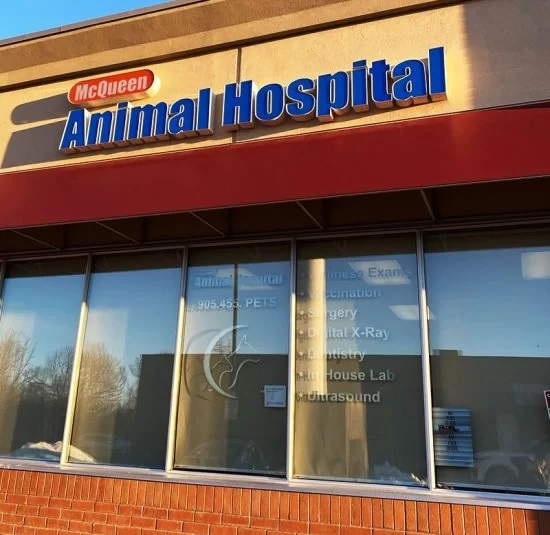 veterinary clinics George Town