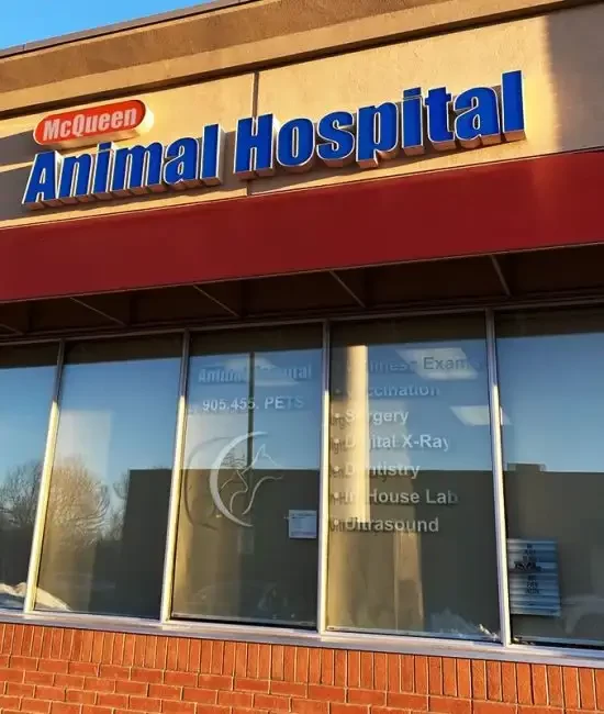 veterinary clinics Mississauga