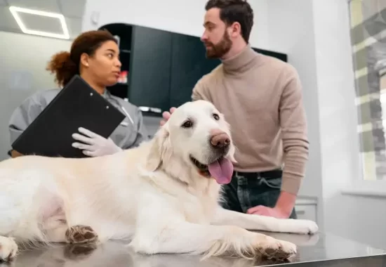 veterinary vaccine Mississauga